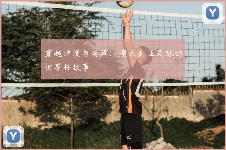 穿越沙漠与海洋：澳大利亚足球的世界杯故事