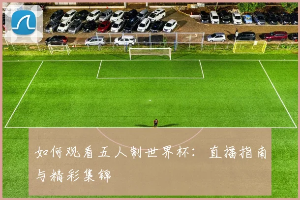 如何观看五人制世界杯：直播指南与精彩集锦