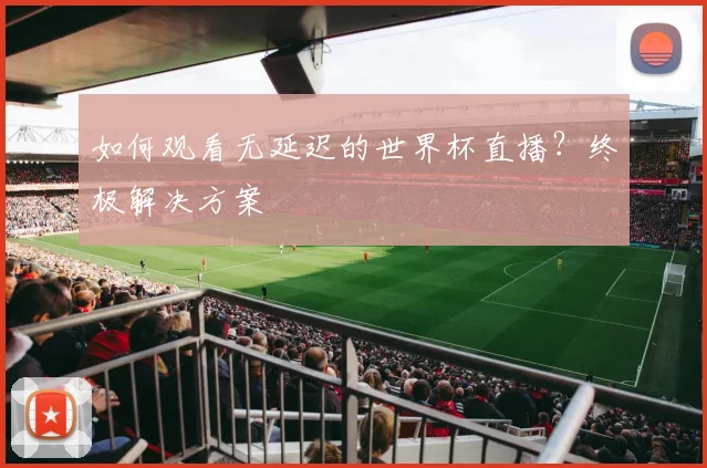 如何观看无延迟的世界杯直播？终极解决方案