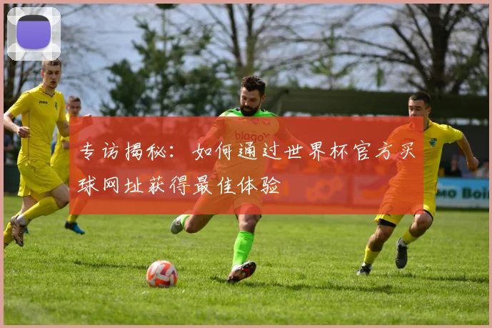 专访揭秘：如何通过世界杯官方买球网址获得最佳体验