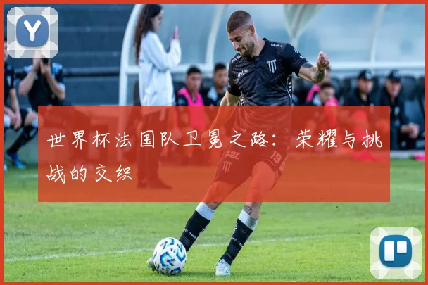 世界杯法国队卫冕之路：荣耀与挑战的交织