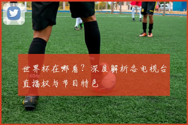世界杯在哪看？深度解析各电视台直播权与节目特色