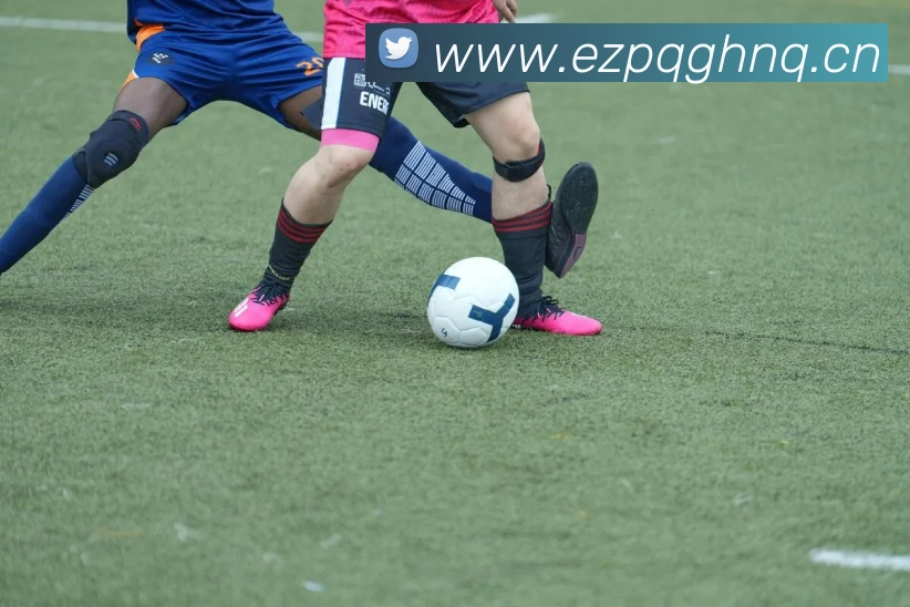 App Interface Preview